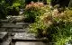 Les Jardins Agapanthe