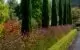 Garten von Peter Janke